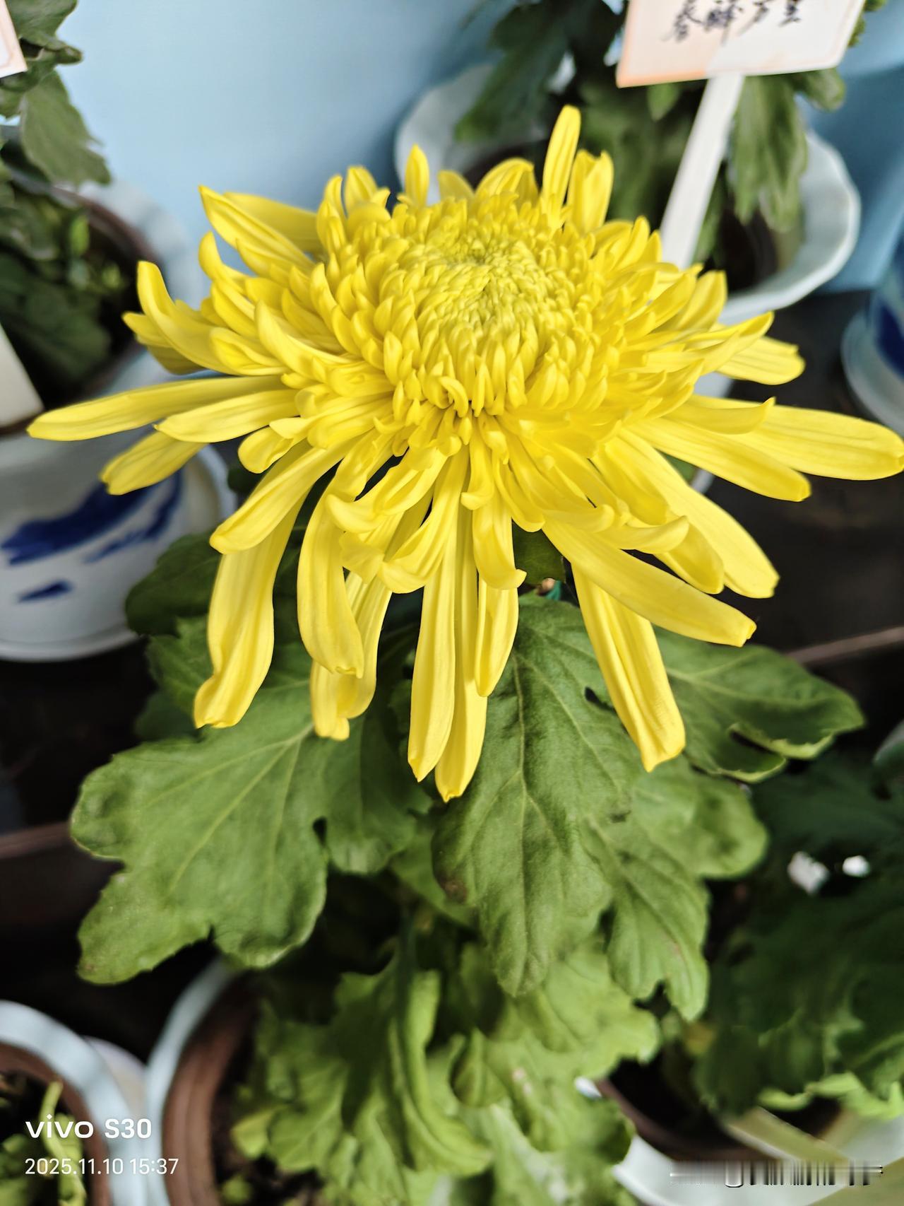 在异乡突然想家的瞬间