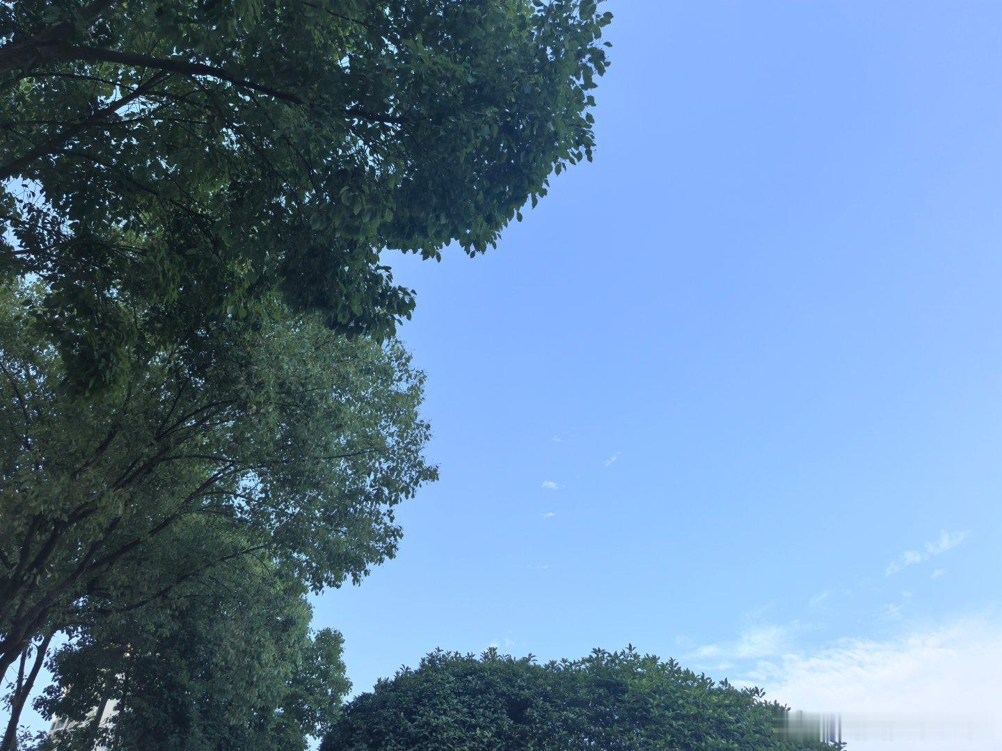 重庆的初夏气温正好，天气也不错在江边散散步，非常惬意