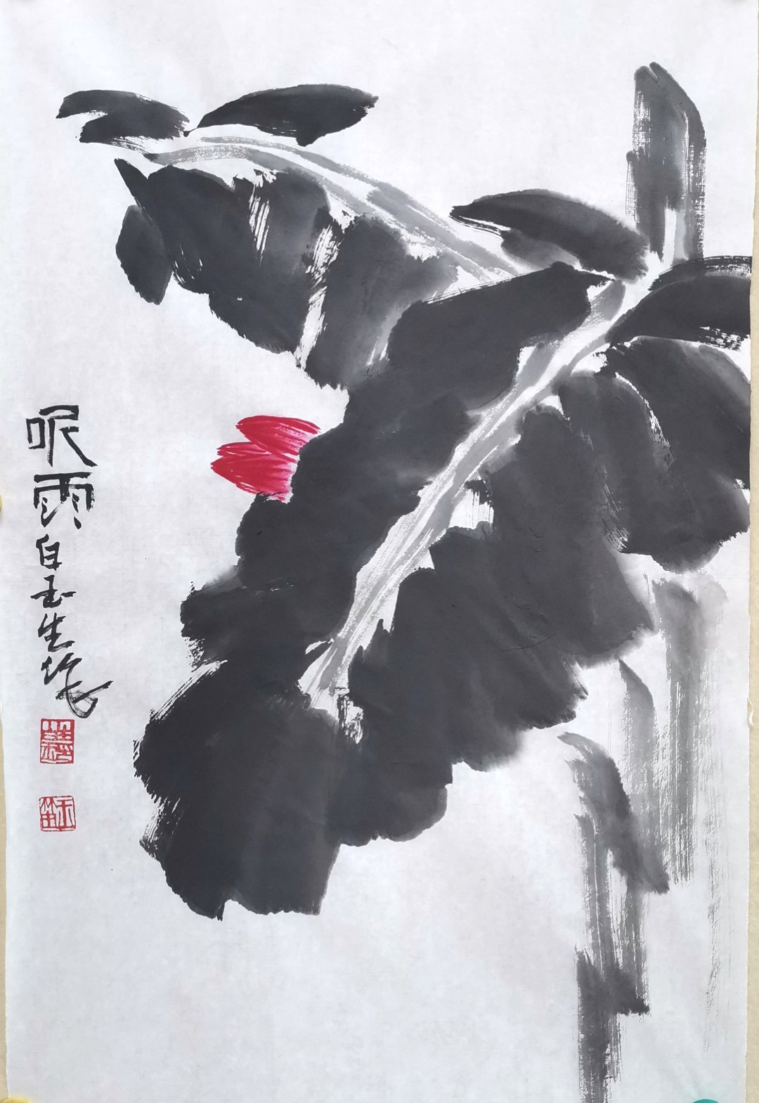 分享图片 