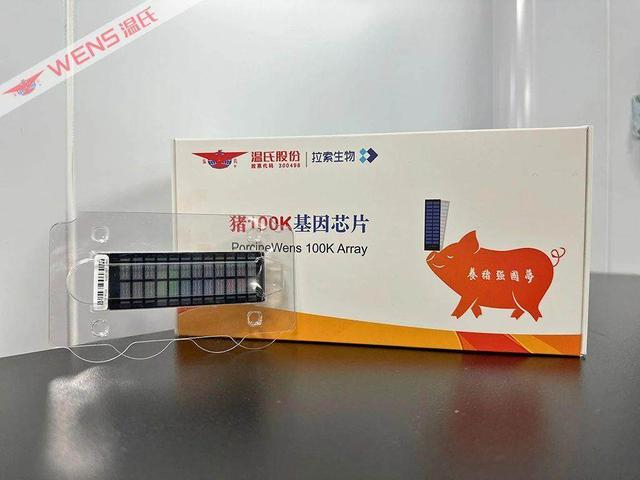 #猪芯片国产化# 2025年的国家科技进步一等奖，给了我国自主研发的华系种猪育种