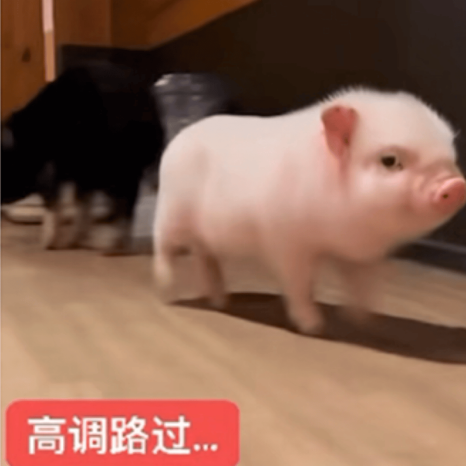 贷款gmn会因为吻戏床戏生气的还是不够了解gmn gmn都是直接穿走的啊 