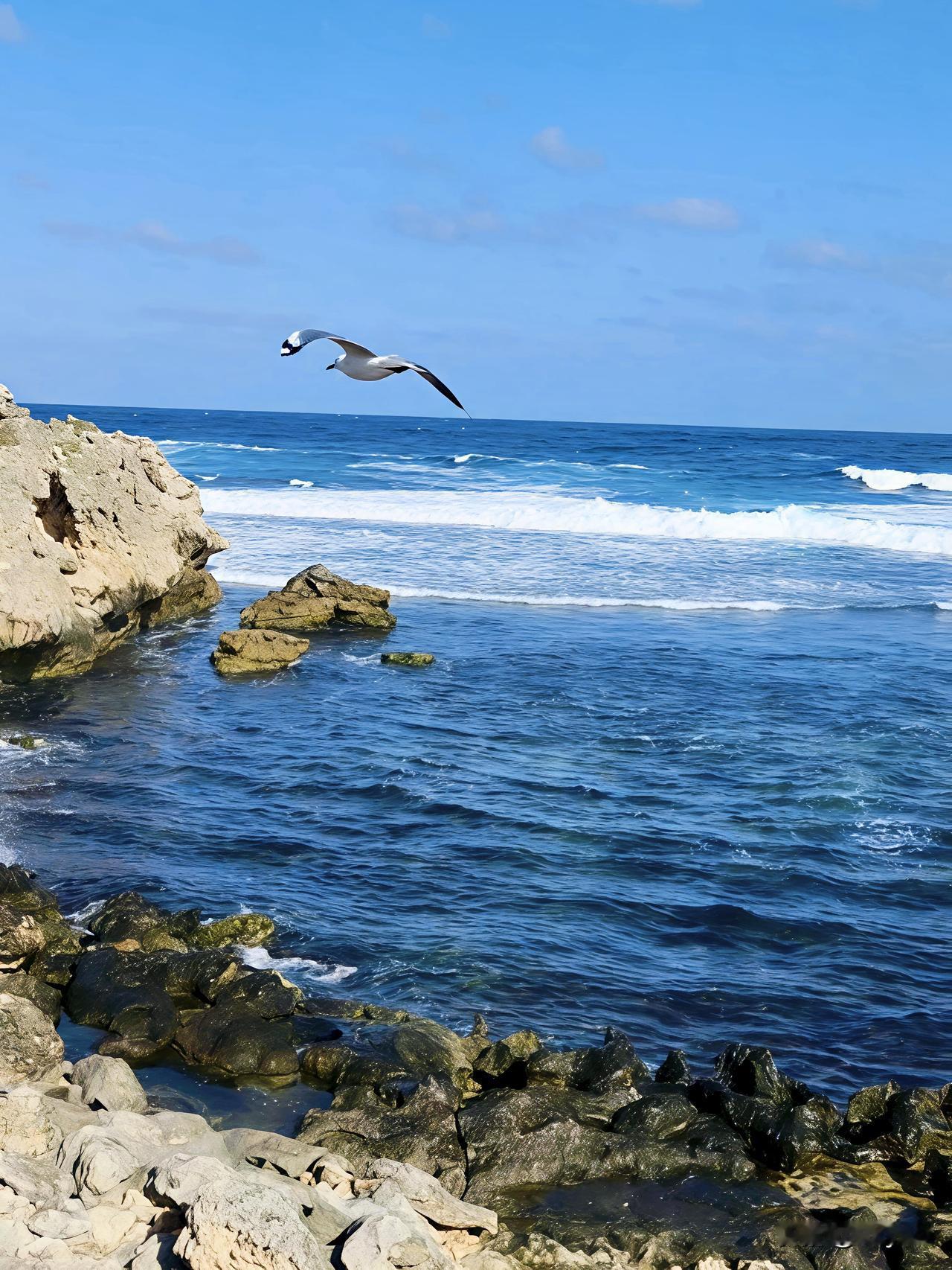 看淡世事浮沉，修得内心从容，不慌不躁，自在平和。身心康健，一笑释怀，便是人间最好