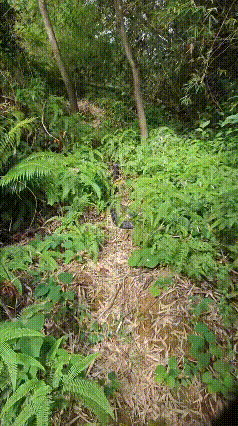 看到这么个大家伙，还不赶紧离开，还在那居然没事一样拍照，这不是找事么！
看着这么