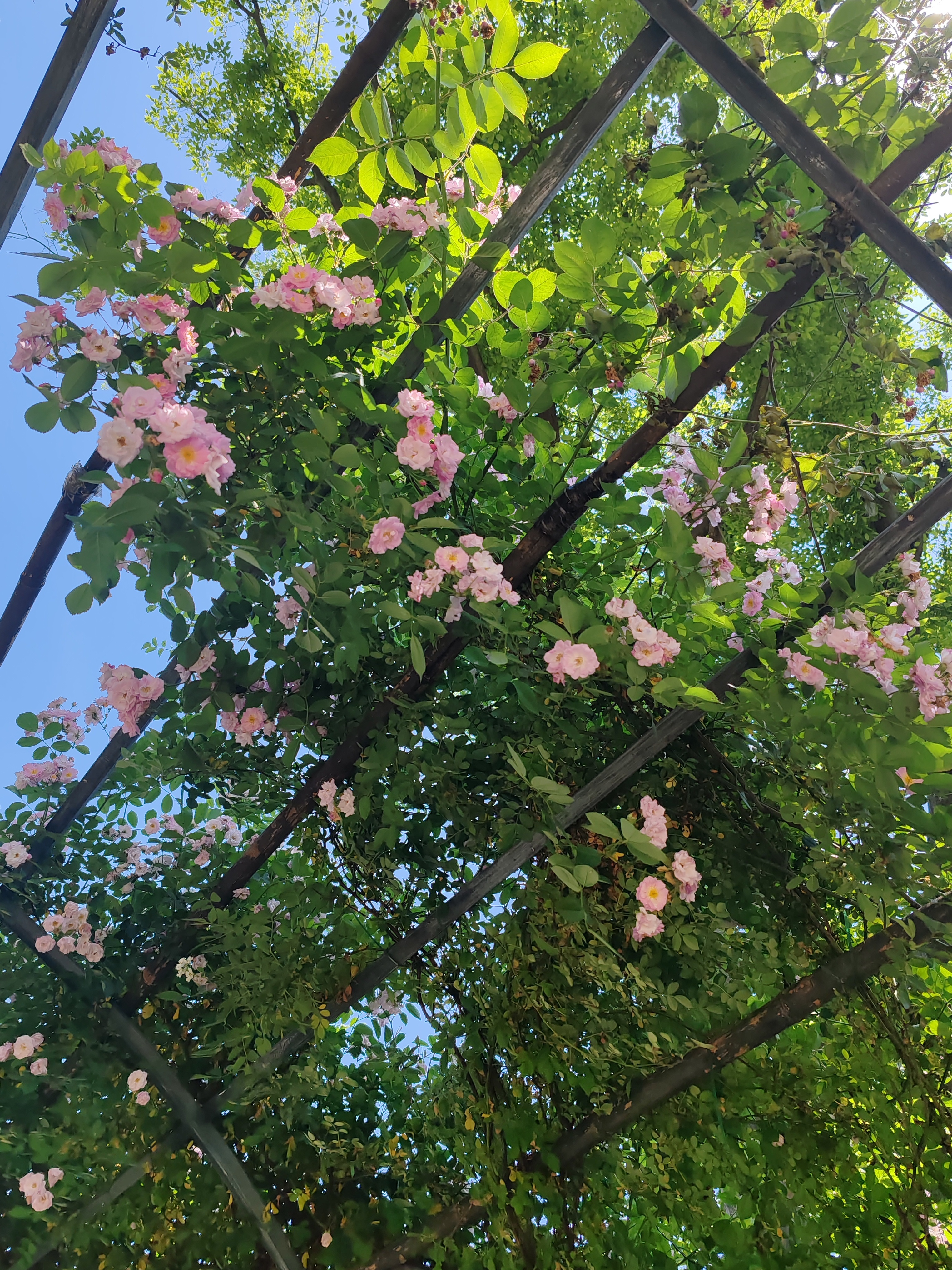 对于出去旅游的人来说，大件行李存放一直是个大问题。以前旅游业没有这么火爆，大家一