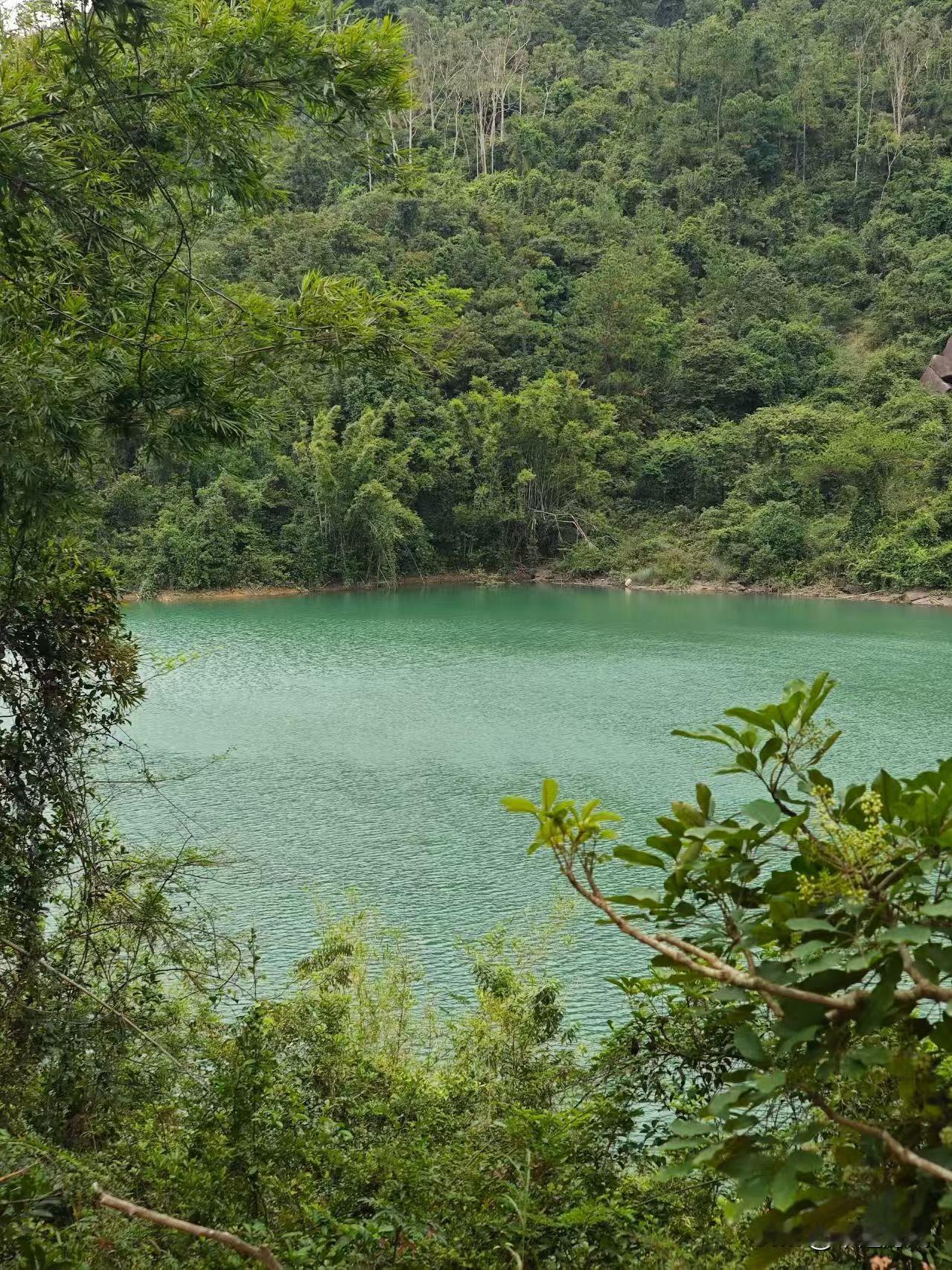 冬日生活打卡季