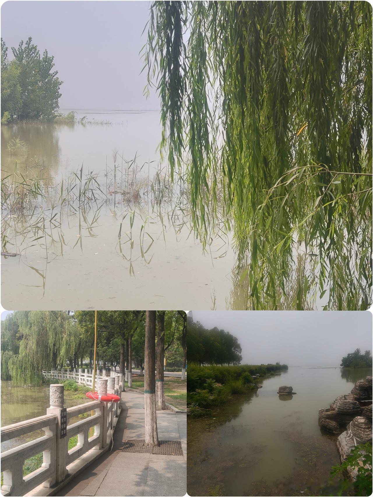 今天周五，
下班早。

放松一下心情，
犒劳一下自己。
来到白龟湖湿地公园，
逛