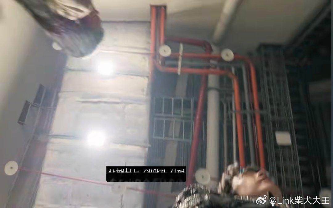 谢谢谢谢你好人给我一次当狗的机会 