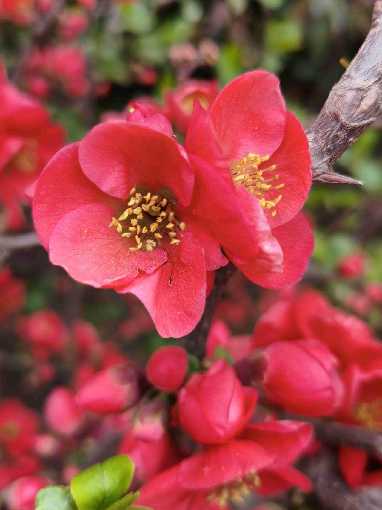 今天没有跟着主播跳健身舞，去泾河边的诗经风情园走路。

早上买完菜，放下菜就出门
