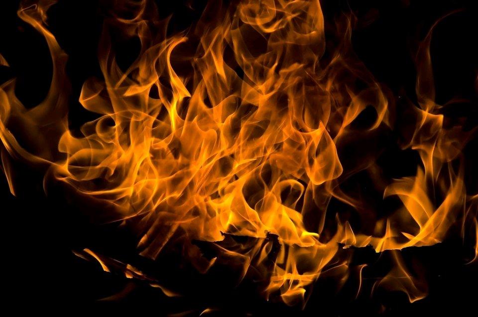 深圳这哥们，脑回路太清奇了。在深夜搞出点草泄愤的事儿，还退到500米外“看戏”，