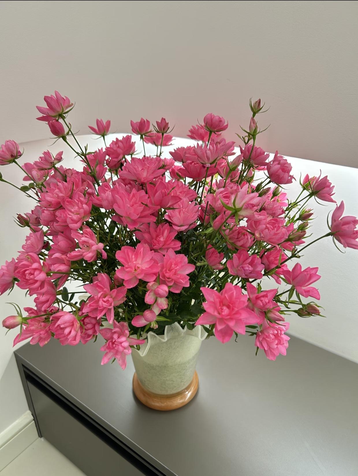 不用等风来，我已经被这满杯的粉色浪漫砸中啦。