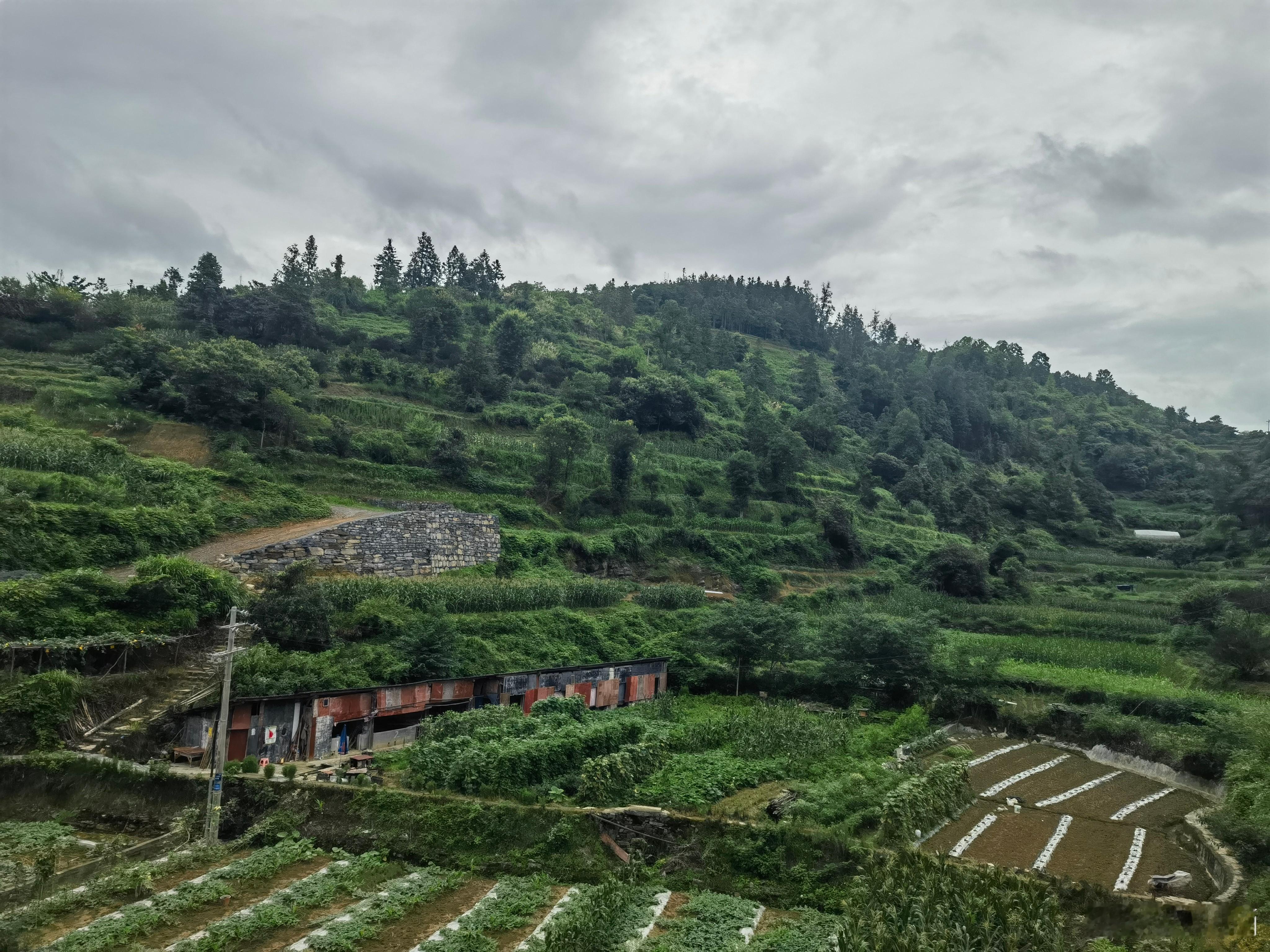 连续奔波，有种特种兵旅游的感觉了。以后嘛景区都没有必要去了，还是开着车到野外发呆