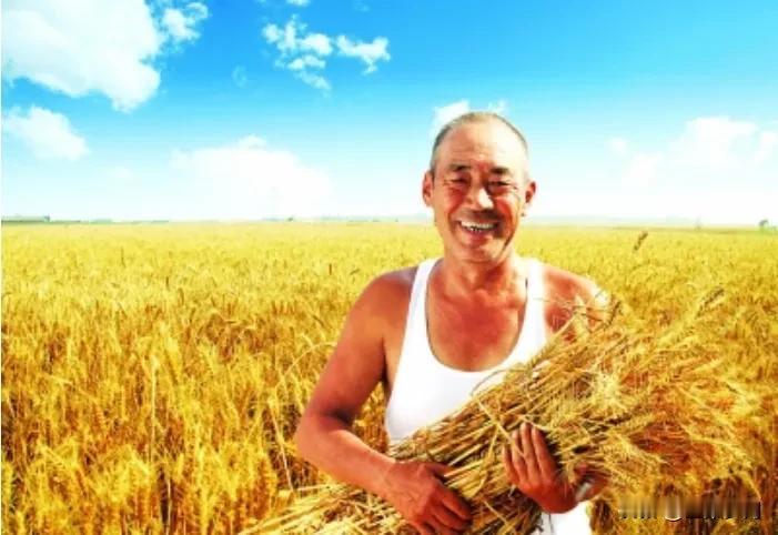 专家说中国农民收入增长位列全国第一，农民听了非常气愤地反问：七八十岁的农民还在干