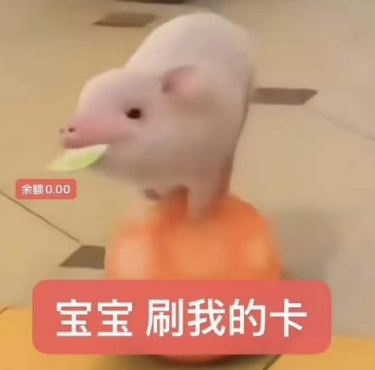 这两天其实好忙的，但是工作系统卡住了，于是很忙又紧张地玩手机 