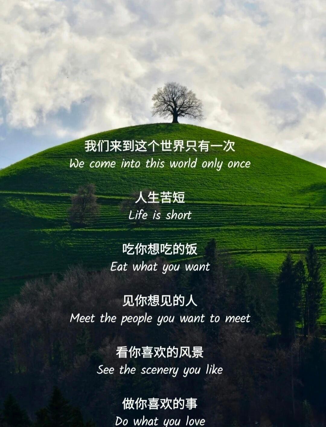 这段话杀死了内耗型人格人生有很多面，人际关系只是其中的一面。 能留下的都是适合留
