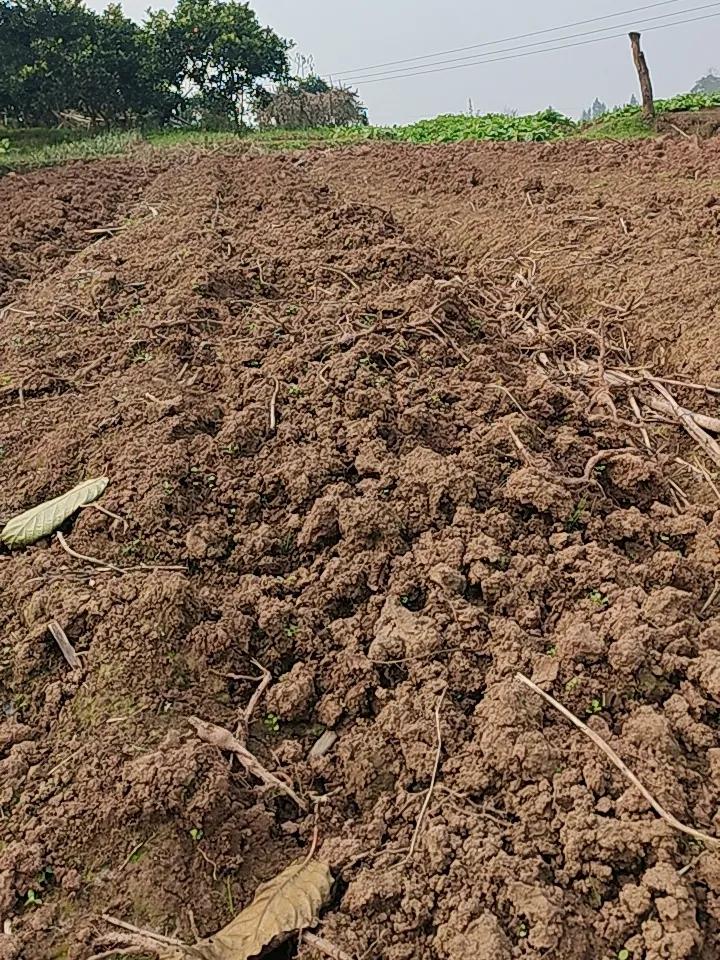 ＂春种一粒谷＂，谁能接下句？