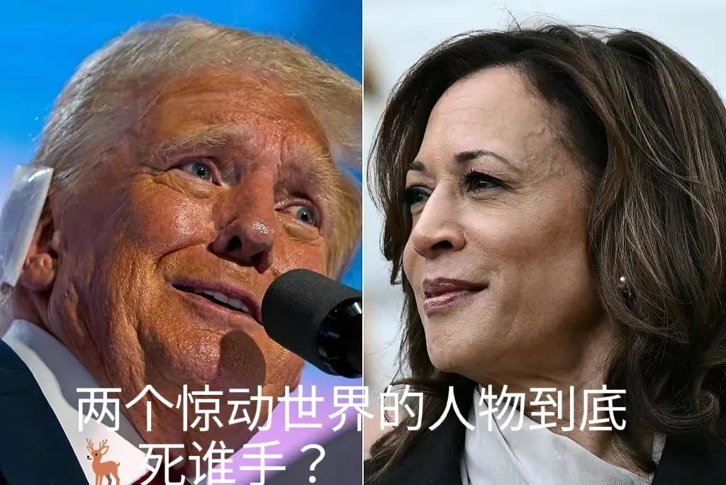 美国的这次大选无不吸引全球关注，唯独这届的特朗普，和哈里斯比婆媳骂街还热闹。世人