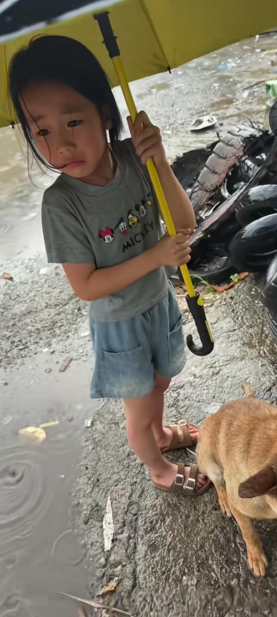 雨中的小女孩为狗狗打伞挡雨。雨中撑伞的孩子