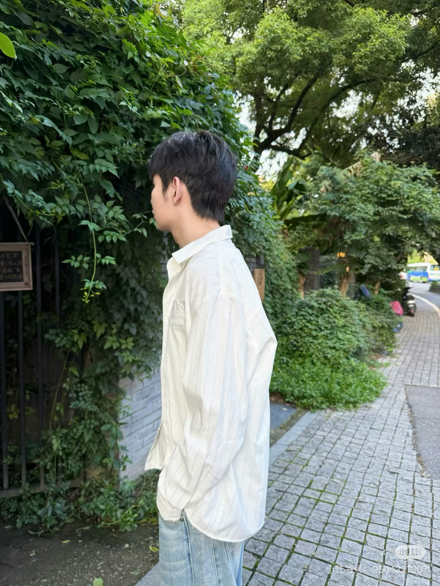 完全小勋猫 