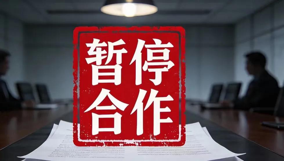 张雨绮因代孕、插足婚姻指控遭行业“清退”：多个品牌终止合作，商务活动全面停滞
从