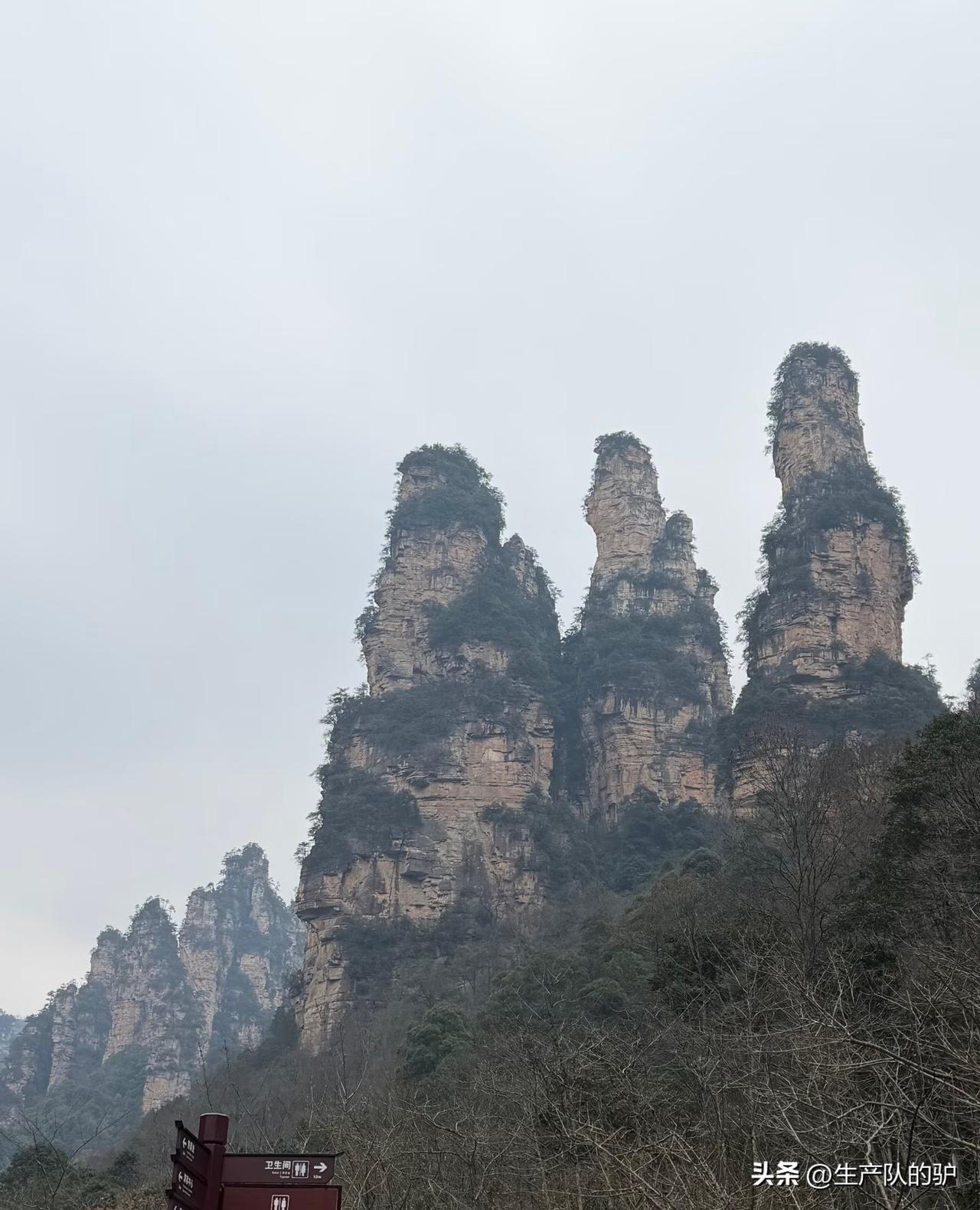 在张家界，刷到太多人吐槽——人挤人、前脚跟后脚、物价高、服务一般、配套跟不上，上