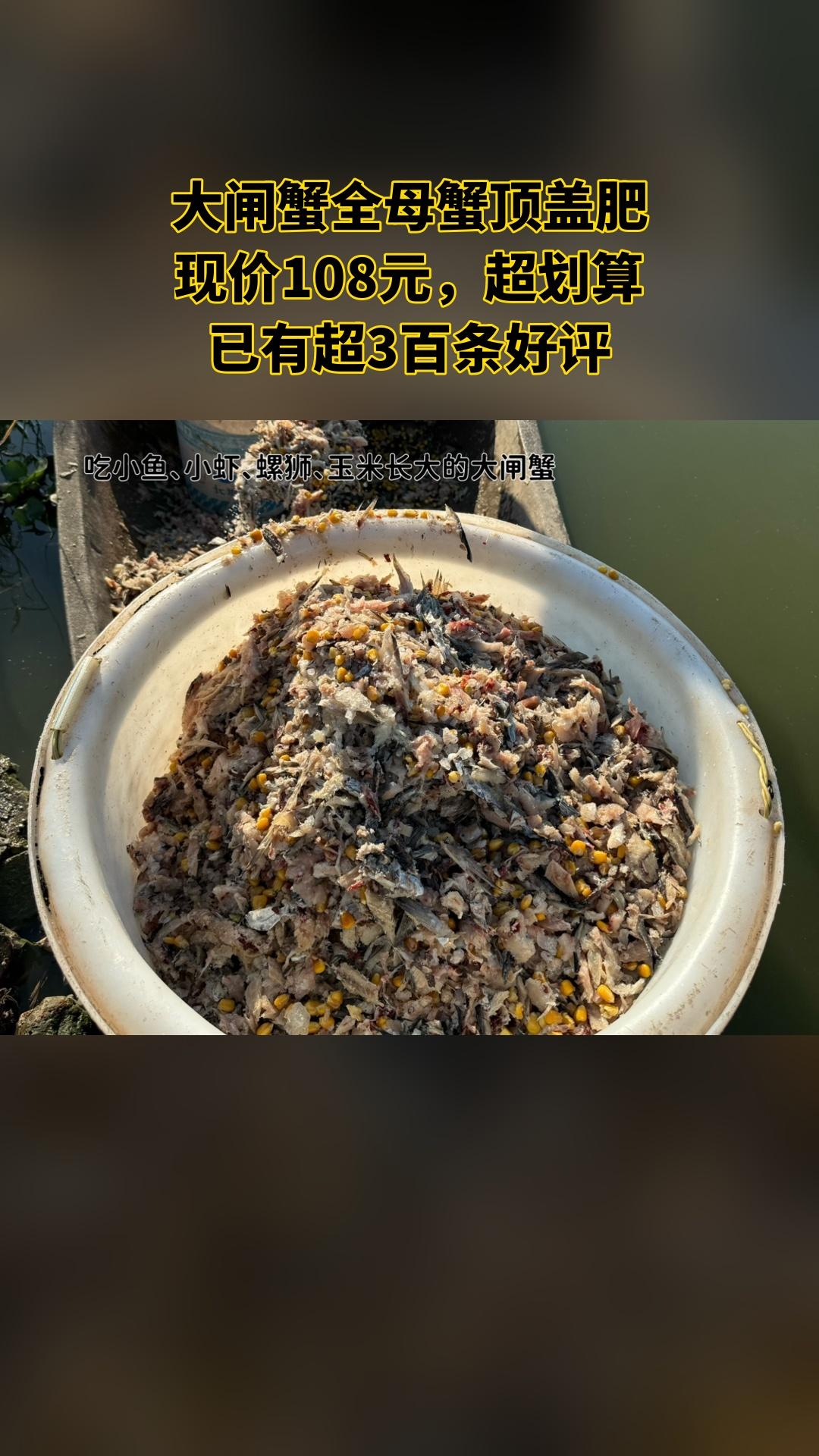 阿牛精品生态大闸蟹，好货推荐，大闸蟹全母蟹顶盖肥2-4人，超值折扣，随...