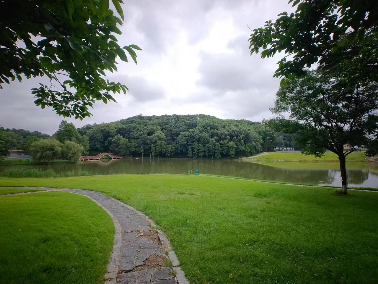长沙园林生态园，夏日美景攻略！
📍长沙园林生态园（开福区捞刀河）
🎫需门票