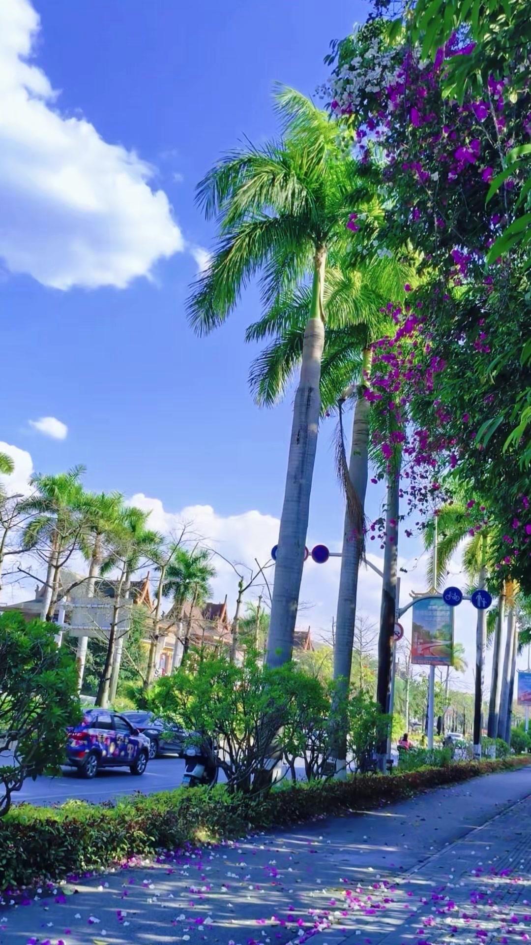 🌿生活细碎万物成诗，抬头所见皆是温柔风景。
穿梭城市老街，发现藏在街角的治愈瞬