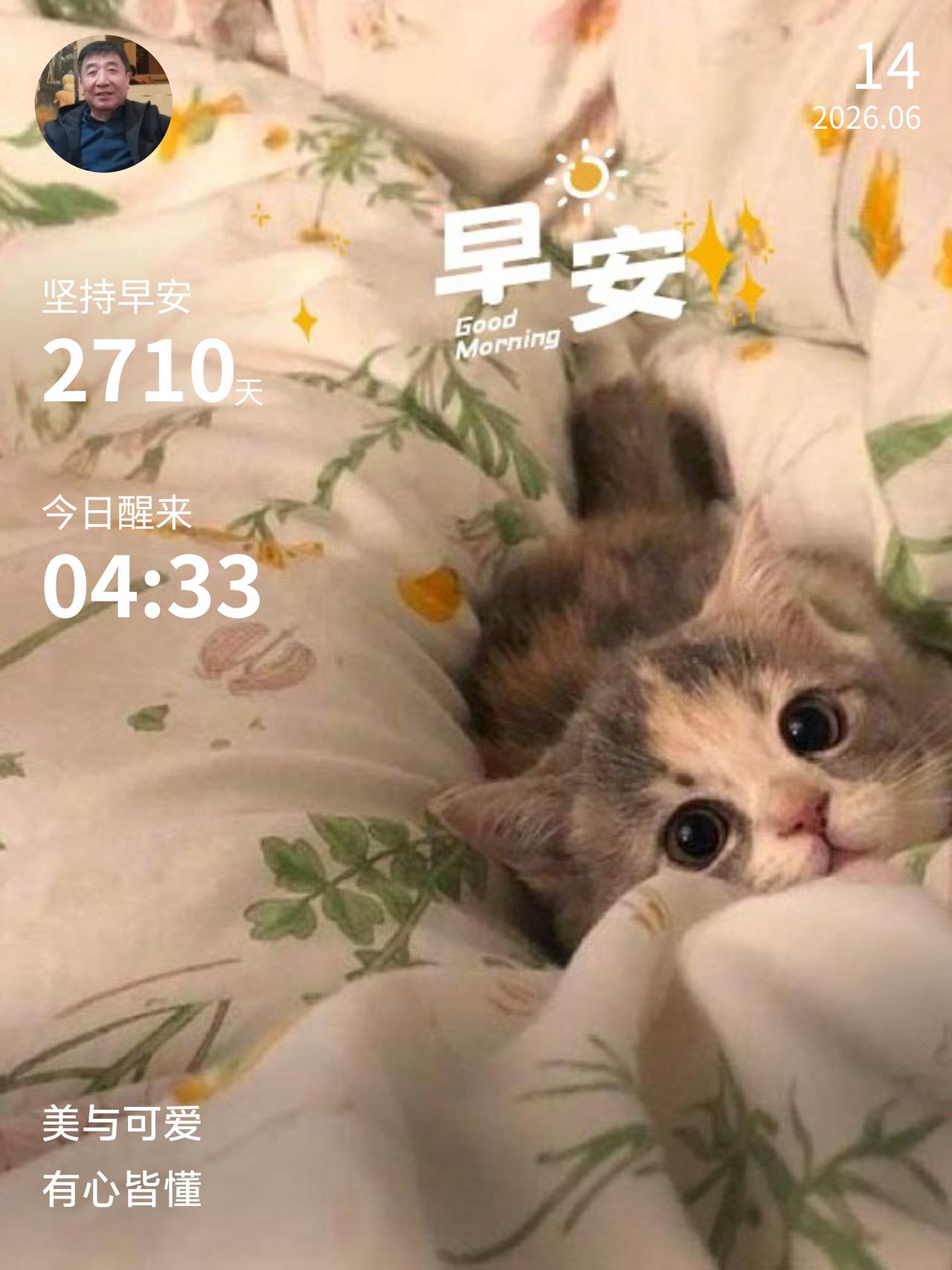 日复一日的早起打卡早起打卡第2710天。日复一日坚持，晨光见证点滴努力。自律已成