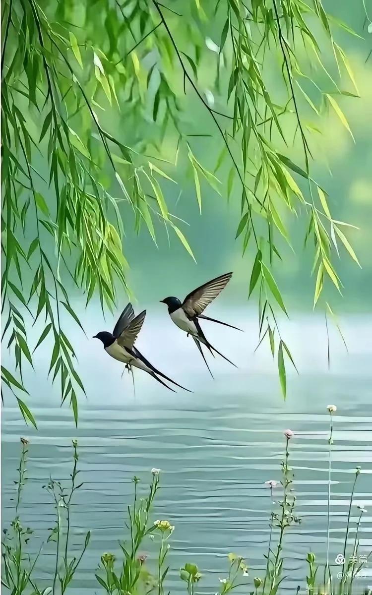 上联：燕剪雨丝织柳幕
下联：飞瀑凌空挂珠帘
这下联意境优美，将飞瀑比作珠帘，与上