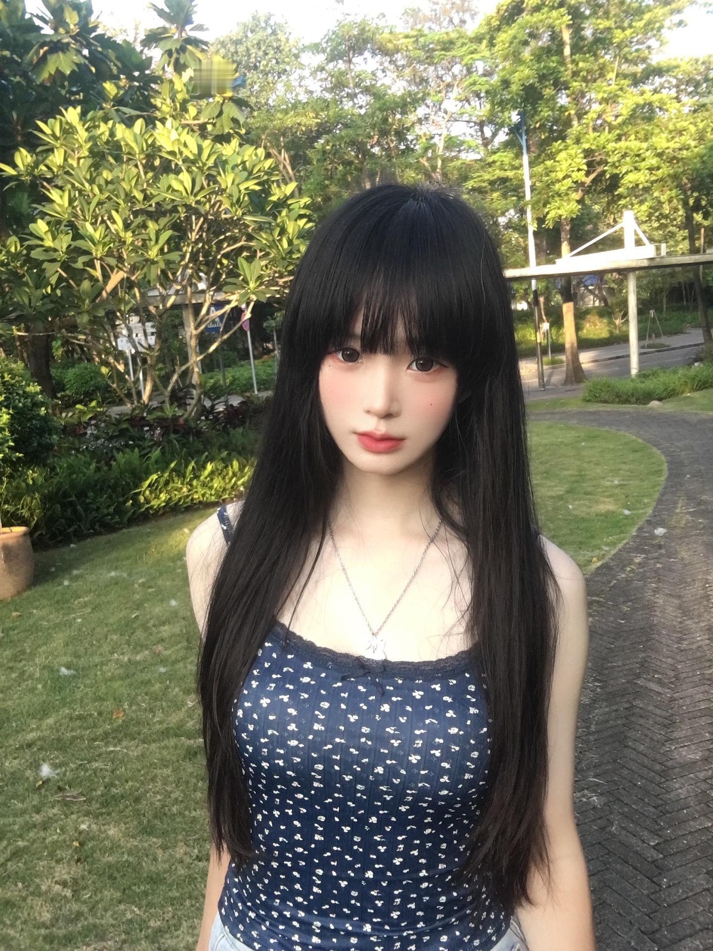 树 小猫