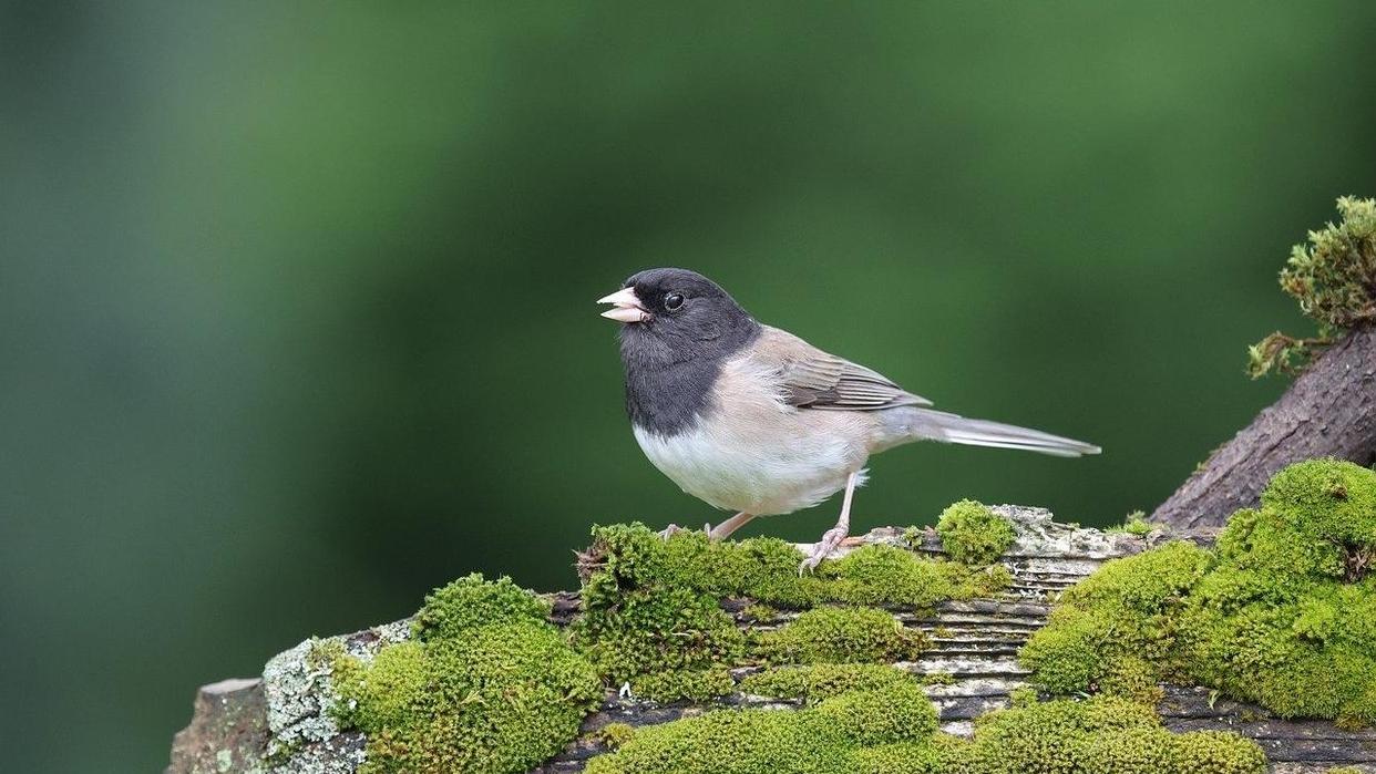 怎么看待中国社会还存在有些“老实人吃亏”揪心的现象？如今却是扎心的现实。

其一