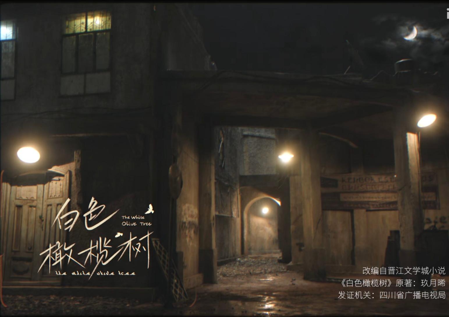 亡夫回忆录，白色橄榄树。