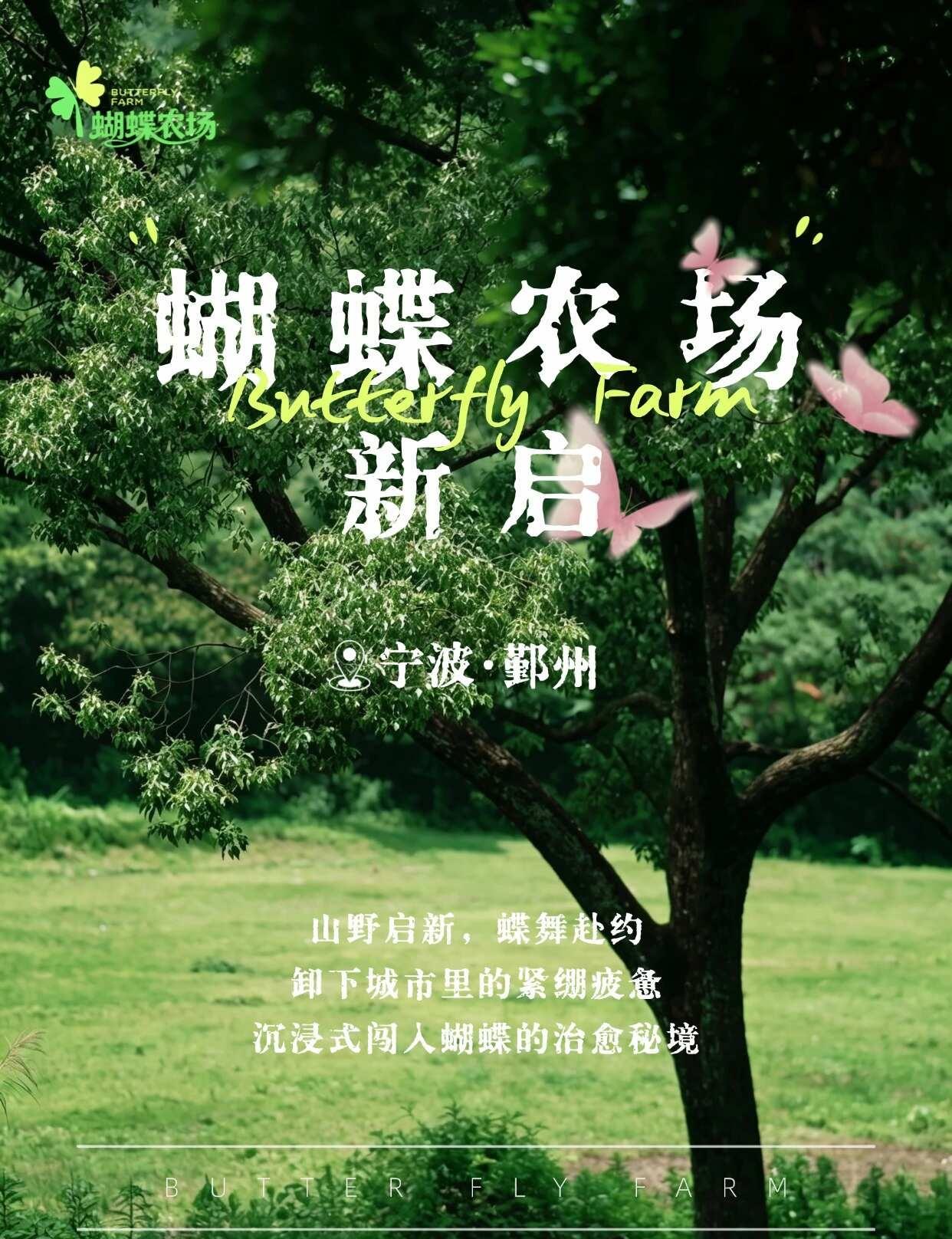 山野新启🦋鄞州藏着一处蝴蝶秘境
林间清风穿过成片花草🌲
万千彩蝶振翅起舞
鄞