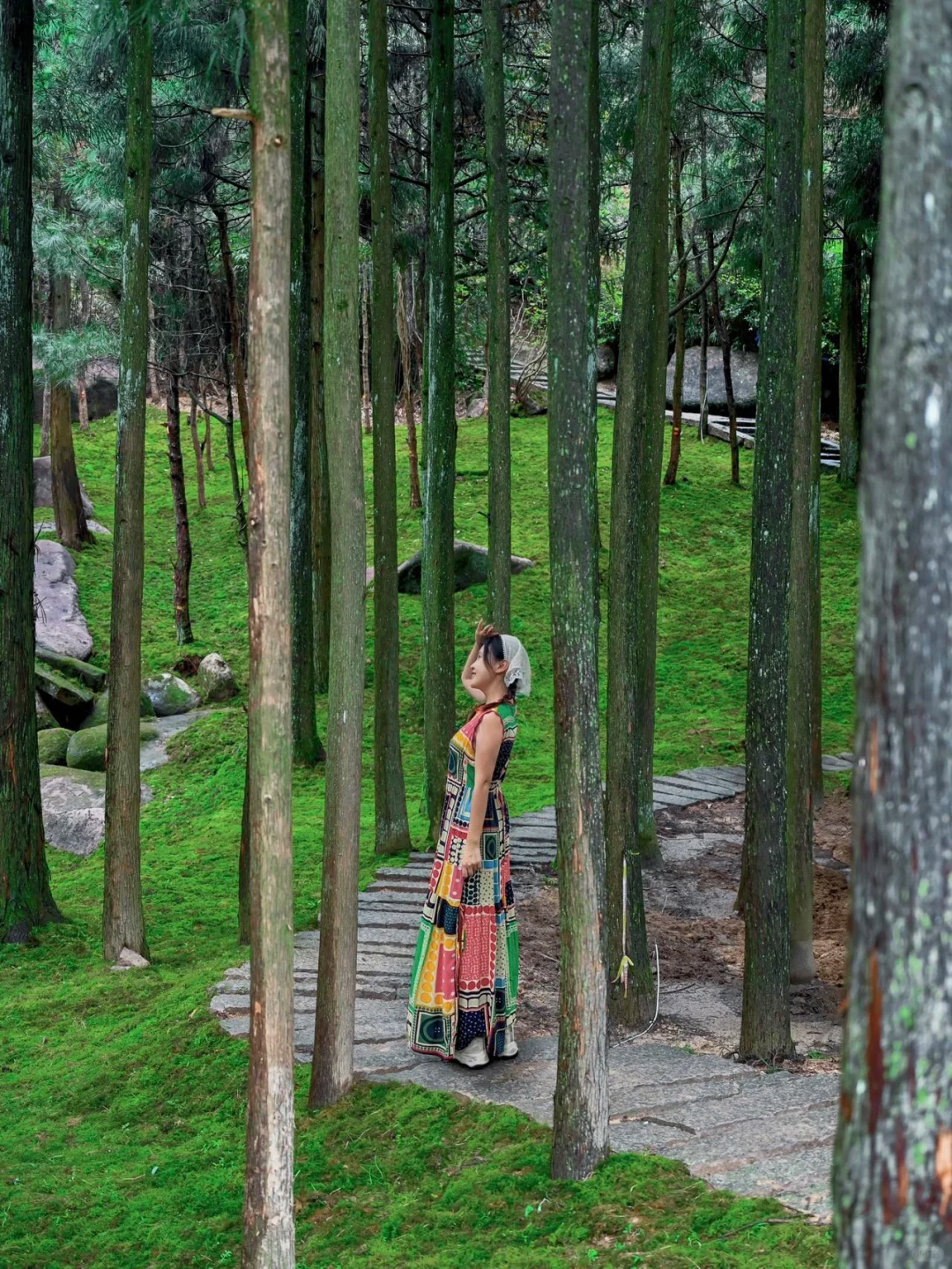 🌲来山里透口气⛰️误入宫崎骏的绿野仙踪‼️