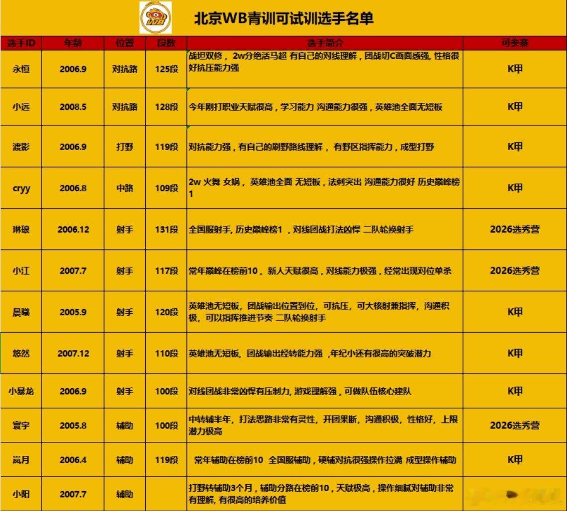 WB可试训名单 