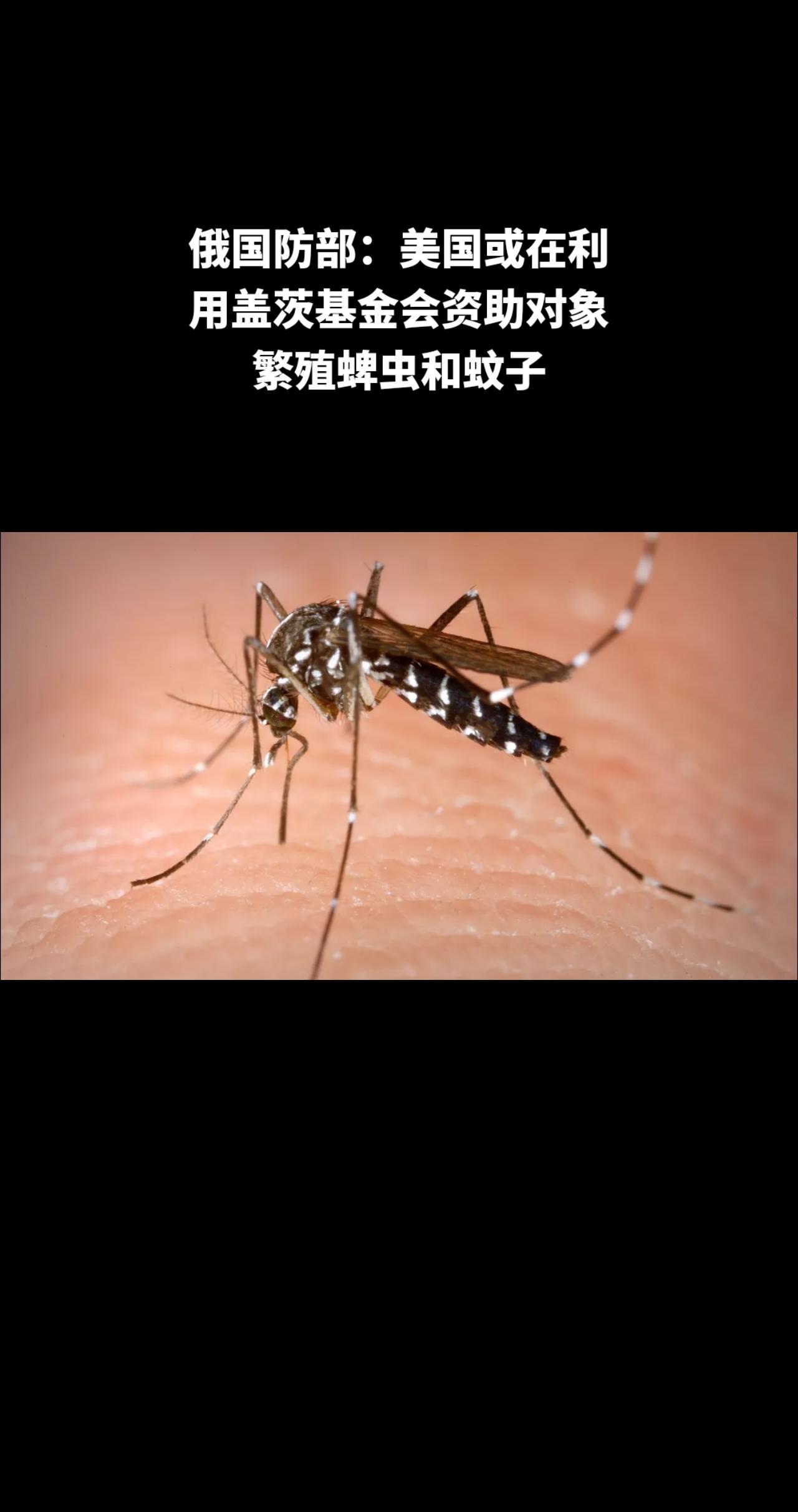 俄罗斯武装力量辐射、化学和生物防护部队负责人伊戈尔·基里洛夫中将表示，俄方认为美