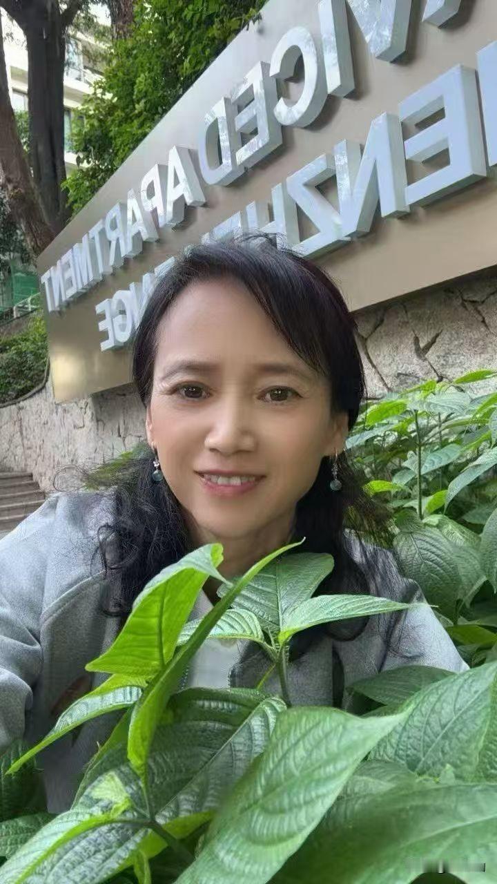 若能重回二十五岁，我定收起浮躁心性，沉下心踏实打拼事业，稳步积攒底气，不再盲目莽
