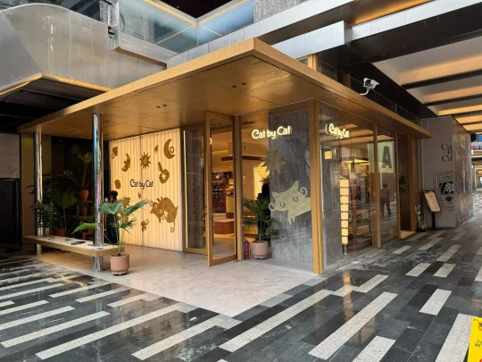 西安老城根猫发发银饰店