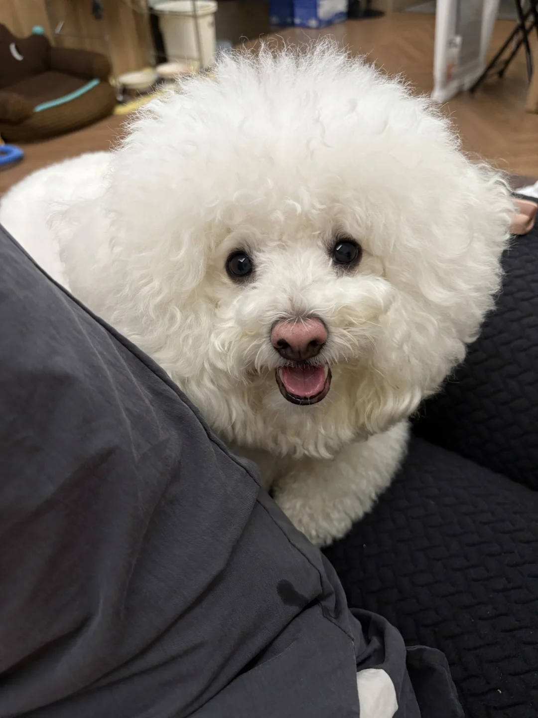 眼神很到位