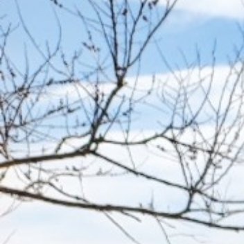 人与人交往，更多的不是改变对方，而是接受对方，如果光想着改变对方，那不是生活，那