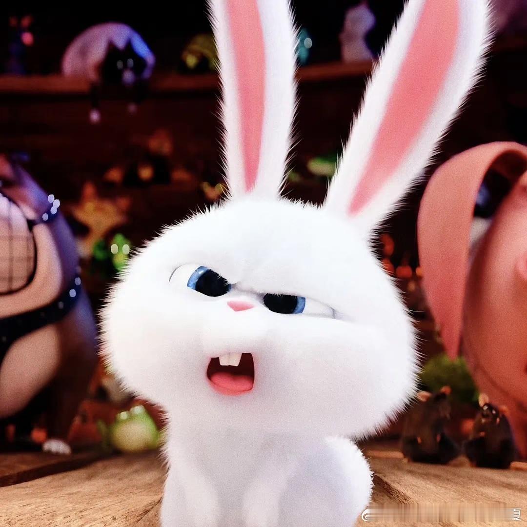 兔塑很正确✔️🐰很难不怀疑杨涵博就是兔老大 原因如下:1⃣️兔老大萌 杨涵博也