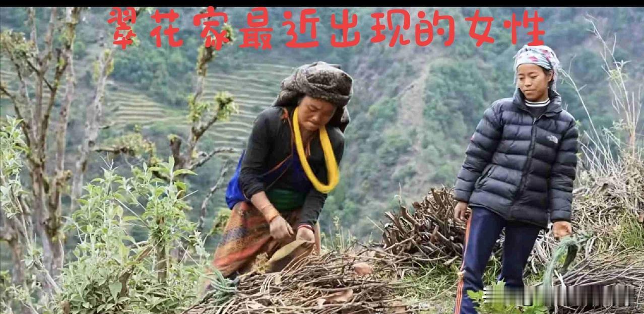 二妹进城上学，翠花家多了一位年轻女性帮忙干活，有博主说，是被卖了的大女儿回来了。