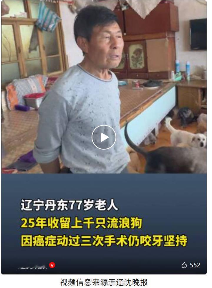 这种人，我不能说是有爱心，我只能够说是病！养一两只流浪狗是爱心，养1000多只，