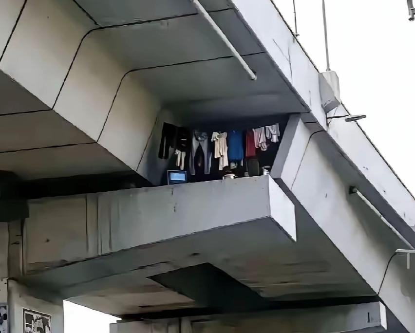 重庆，一男子乘坐01路公交途经城市高架，无意间抬头望向桥梁混凝土夹层时，突然，被