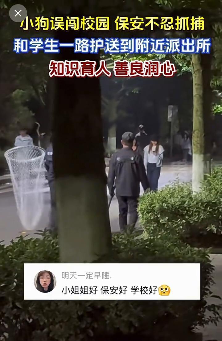 小狗误闯校园，保安不忍抓捕，和学生一路护送到附近派出所。
近日，贵州师范学院。