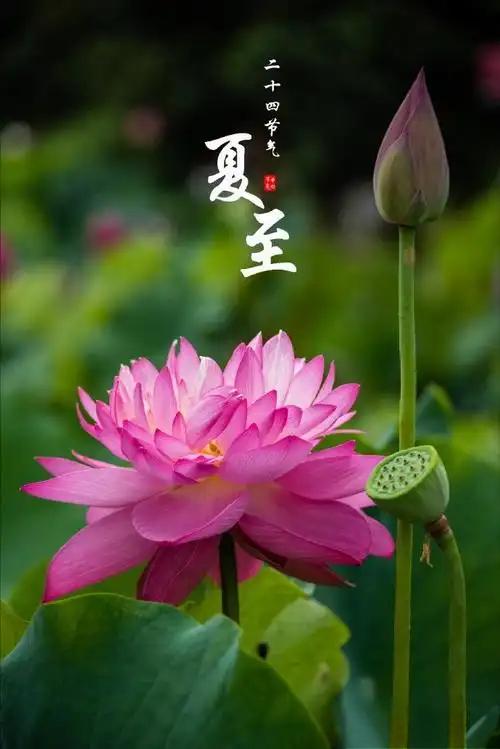 人和人走得近了，总容易犯一个想当然的错：觉得日常里熟络，精神上就该天然懂彼此。