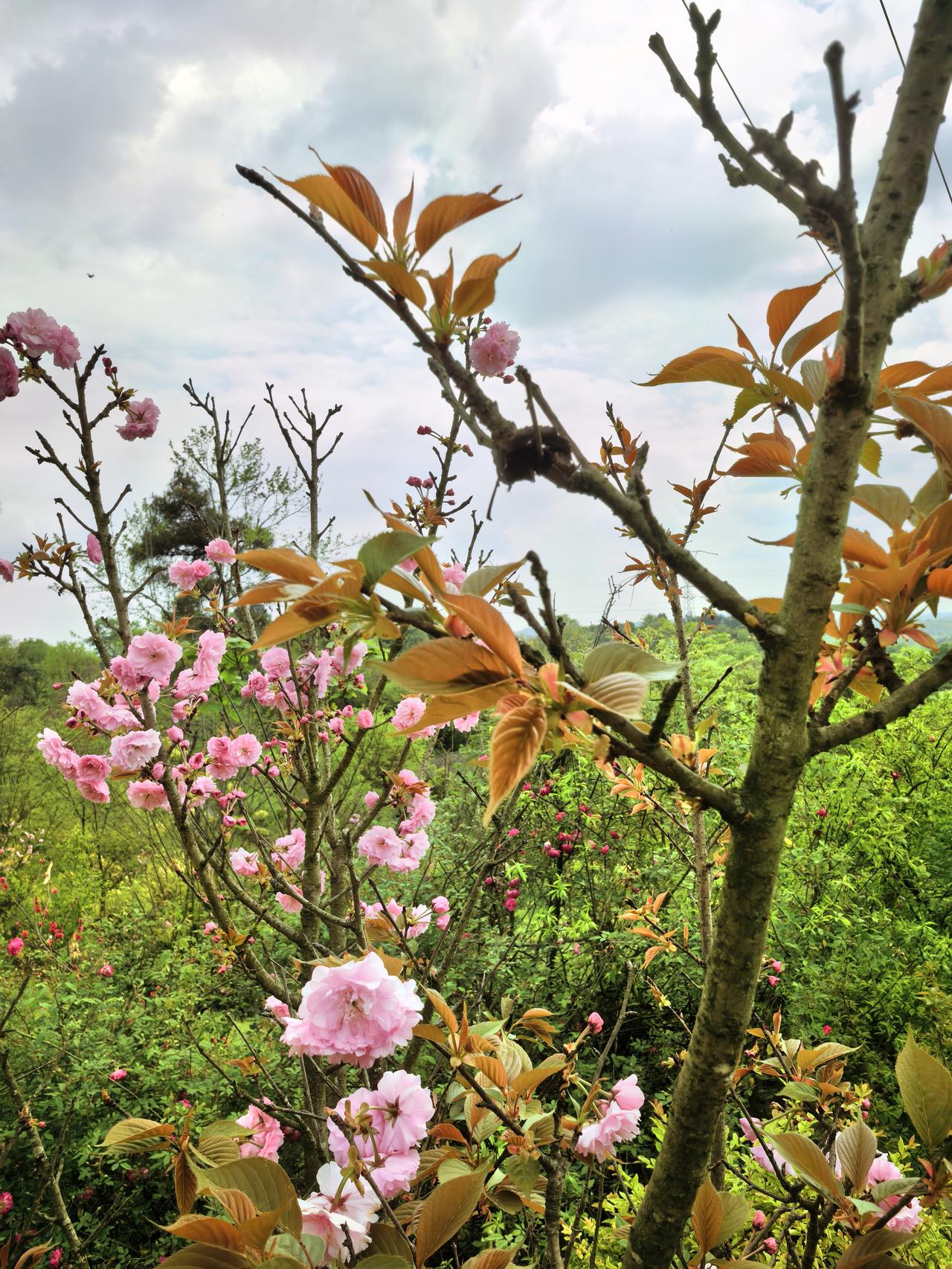 真正的风景，还真不在那些游人如织的名山大川。山野小径才是真正的藏宝地，这里同样满