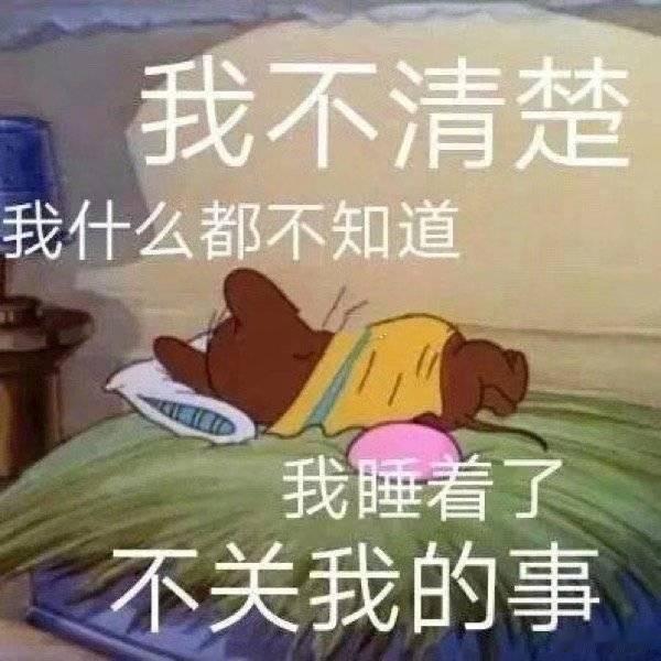 进组今年就不奢望了，蒋依生日快到了，重组后援会让其带领大家给蒋依依组织应援生日总