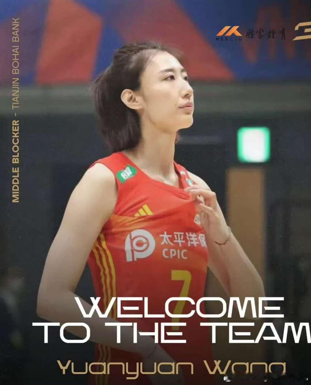 中国女排[超话]王媛媛与意大利的Gold Sport体育经纪公司签约，Gold 