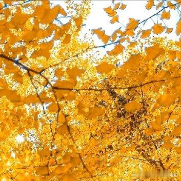 阳光信用‎阳光‎信用 ‎每日一善 每一分收获，都来自你坚持不懈的努力；每一分汗水